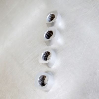 ZSE50 Special Screw Segement , Kneading Block Φ15.6 - Φ430mm Screw Range