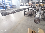 Twin Screw Segment Inflated Food Industry Shaft 177